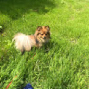 Meet your Posher, Wendy